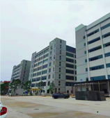 佛山金田食品有限公司