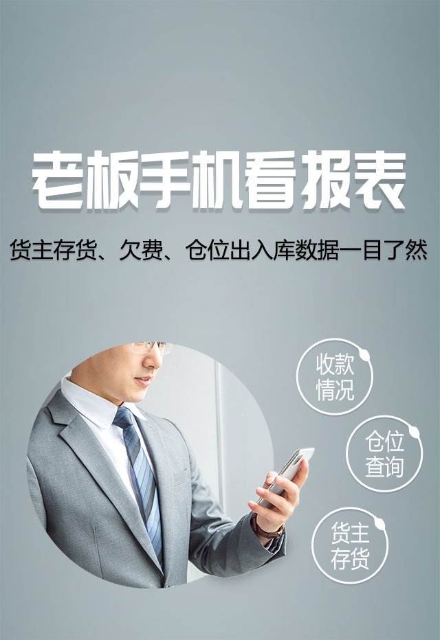 手机看报表